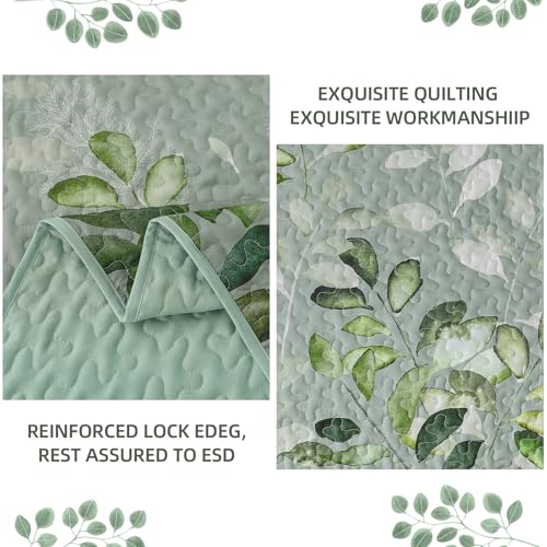 WONGS BEDDING Green Floral Quilt Set Queen,3 PCS Botancal Bedspread Set by WONGS BEDDING - Used condition - Image 6