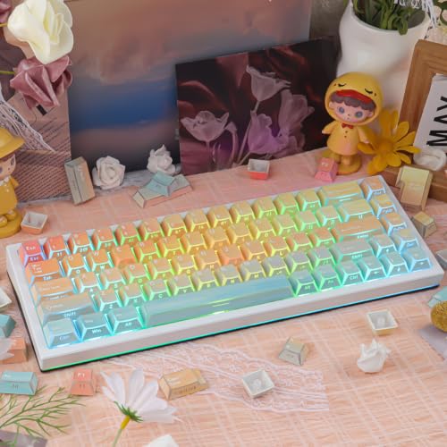Keycaps PBT mecánicas perfil Cherry con 137 teclas translúcidas side printed 3