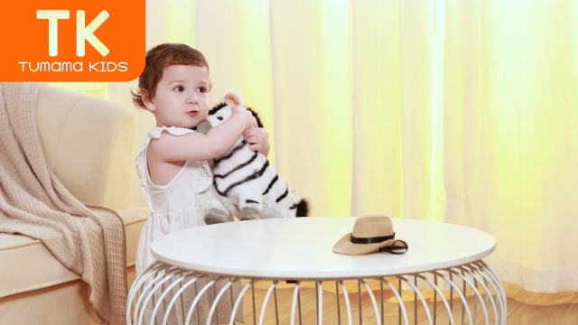Zebra speelgoed knuffel 15 cm | Fun en Feest
