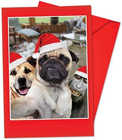 The Best Card Company - Discontinued Card - B2373DXSG