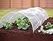 Garden Mile 1.5m Clear Polytunnel Cloches For Growing Vegetables Flowers Poly Tunnels For Gardens Allotment Equipment Garden Cloches And Tunnels Gardening Equipment Allotment Accessories
