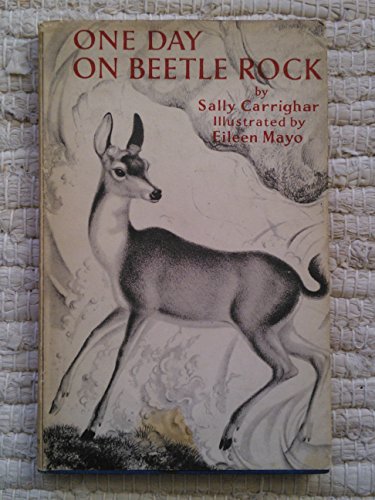 One day on Beetle rock B0007FMOQ6 Book Cover