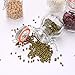 Glass Spice Jars,Encheng Glass Jars With Airtight Lids 4 oz,Small Jars With LeakProof Rubber Gasket,Mason Jars With Hinged Lids For Kitchen,Mini Storage Containers With Twine and Tags Labeling 30 Pack
