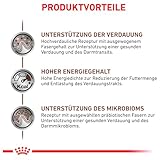 Royal Canin Veterinary Gastrointestinal | 4er Pack | 4 x 400 g | Trockenfutter für Katzen | Kann unterstützend helfen bei gastrointestinalen Erkrankungen bei Katzen | Hohe Akzeptanz