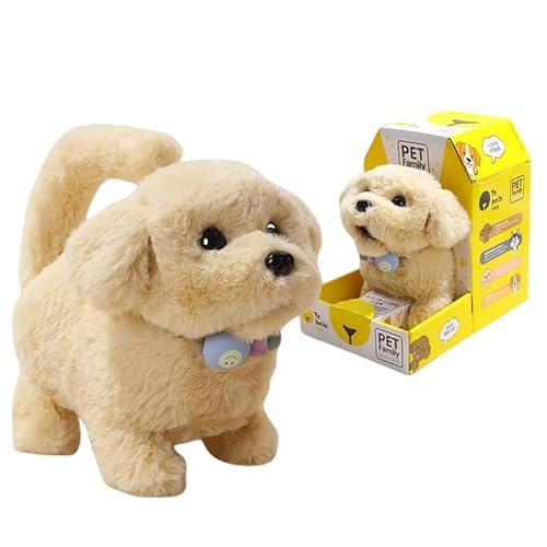 Ghbunuz dӂӂ팢AAĂAۂUASS]AAȖtAqǂ ybg^gCA3΁A5΁A7΁Aqǂ̓ANX}XAav[g (-yȂ+𓮂+Uz,obe[o[