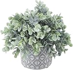 MyGift Artificial Eucalyptus Plant in Modern Gray Concrete Pots with Geometric Embossed Pattern (1, Grey)