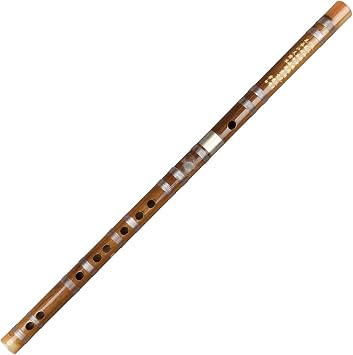 Dizi Bitter Bamboo Flute for Beginners with Free Membrane & Glue & Protector Set Traditional Chinese Instrument Bitter Bamboo, Key of E
