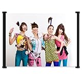 2ne1 Kpop Fabric Wall Scroll Poster (22'x16') Inches