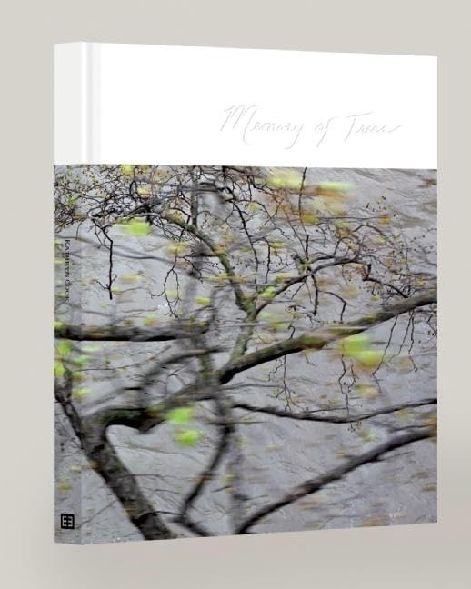 Memory of Trees bougie parfumée pour raviver vos plus beaux souvenirs d'enfance