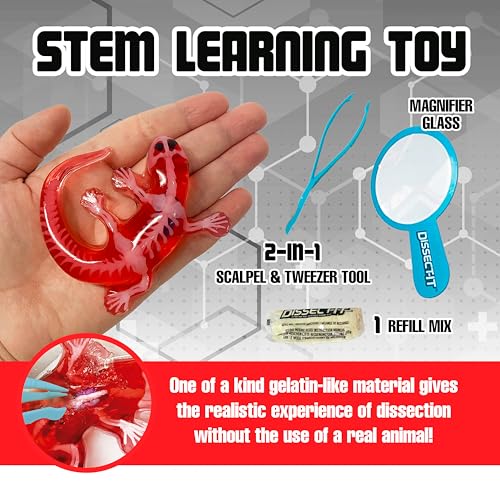 Image of Top Secret Toys Dissect-It Mini Labs Salamander Dissection Kit for Kids, Realistic Synthetic Kids Science Kit - On, Biology and Animal Anatomy, STEM Toy, Ages 6+
