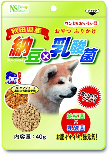 最安値 Nsバイオ 納豆x乳酸菌 犬用 40g 0011 の価格比較