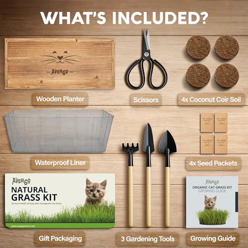 Image of Cat Grass Kit for Indoor Cats - x4 Seed Packets | Cat Grass Seeds with Wooden Planter, Soil & Mini Gardening Tools for Nipping & Nibbling - Pet Wheatgrass Grass