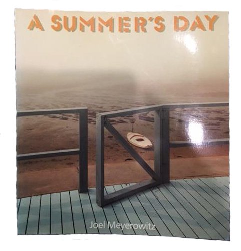 A Summer's Day 0812916433 Book Cover