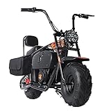Oryxearth Electric Mini Dirt Bike 1000W 36V Battery Motor 15.5MPH/22 MPH 2 Speeds Electric Motorcycle for Kids Over 13 with 2 Hanging Bags, Up to 18LBS