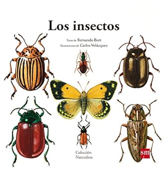 Hardcover Los insectos [Spanish] Book