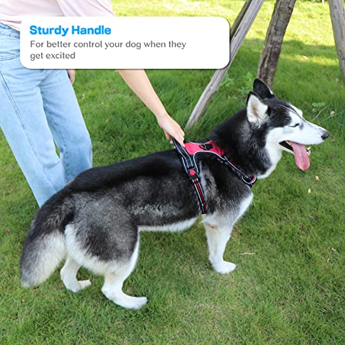 SYEENIFY No Pull Dog Harness, Adjustable Soft Padded Dog Vest, Medium Large Dog Harness with 5FT Dog Leash,Reflective No… - Image 4