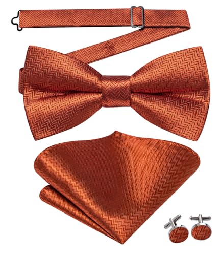Image of Dubulle Mens Paisley Striped Bowtie Set Pre-tied Bowtie for Men and Pocket Square Set Wedding Business
