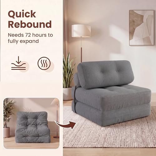 Image of COSTWAY Folding Sofa Bed with Pillow, Convertible Couch (Grey) | with Backrest & Fixing Straps, Boneless Convertible Sleeper Chair for Adults, Guest Use, Living Room