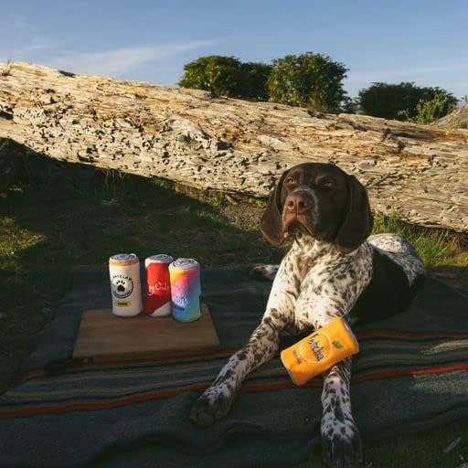 Miniatura 7 de ZippyPaws - Juguetes para perros Squeakie Can, relleno Squeaker Plush Beverage Dog Toy - Fetcha