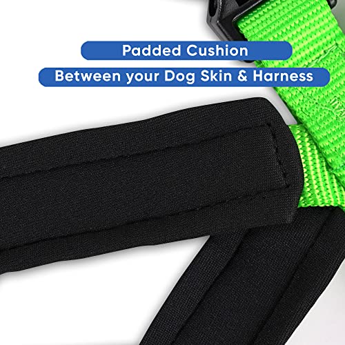 Pawtitas Vest Adjustable Padded Reflective Dog Harness Provides Comfort Control For Walk, Train And Reduces Pull Tugging Great Pet Accessories | Step In Dog Harness Large Green Vest #TOP3