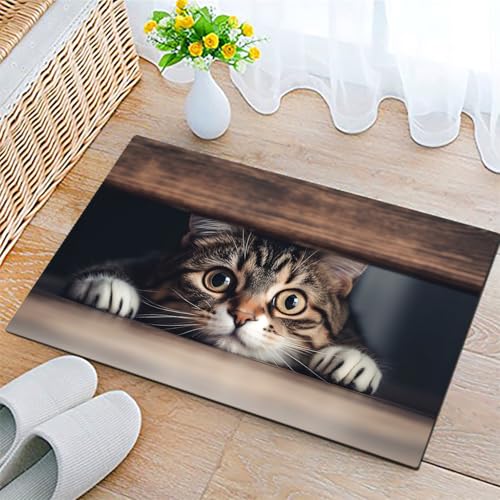 COSHARKLY Cute Cat Door Mat