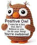 Positive Crochet Owl Birthday Gifts for Women, Valentines Emotional Inspirational Support Gifts for Her Friend Mom Coworkers Teacher, Encouragement New Job Gift Funny Handmade Crochet Owl Desk Decor