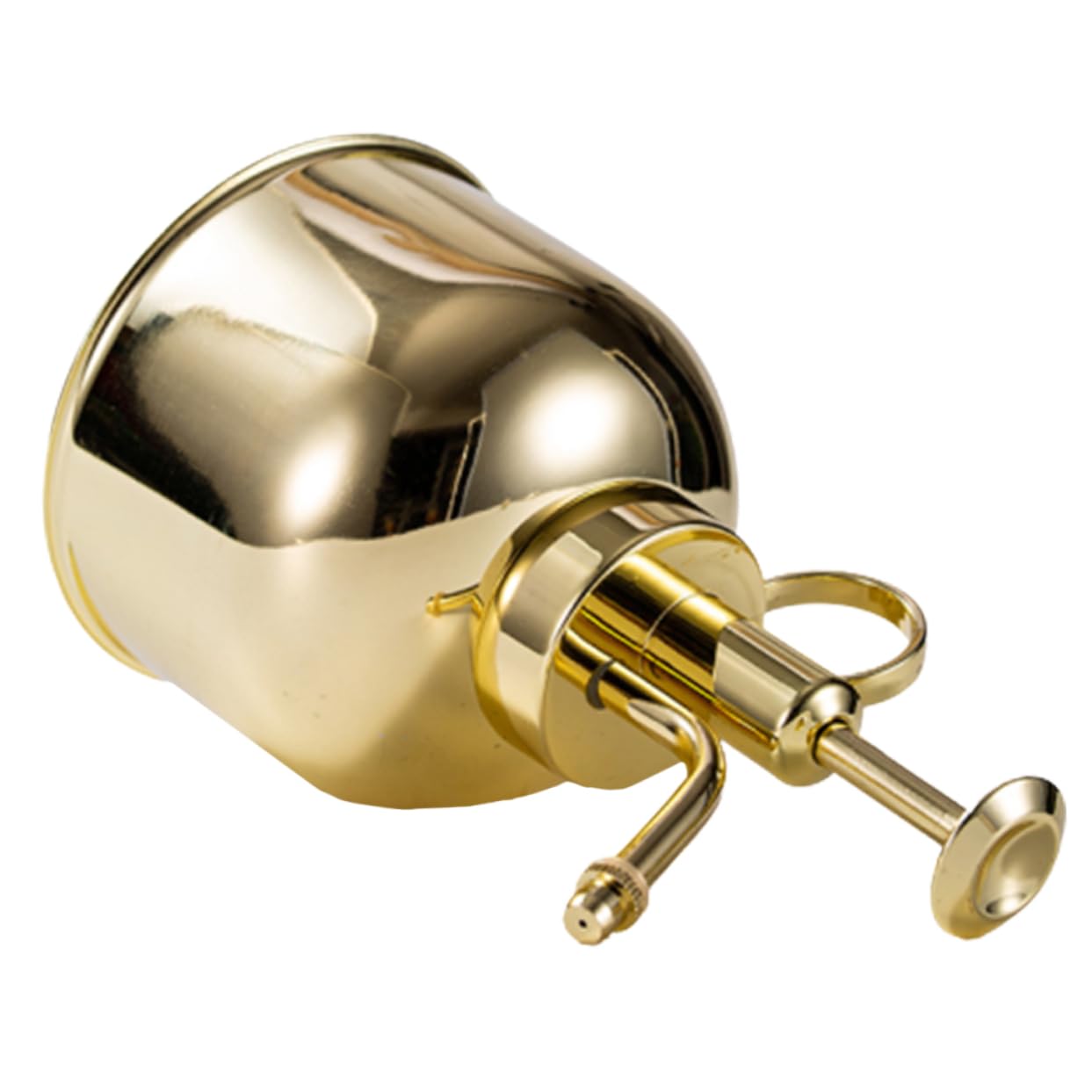 Regadera Vintage de 300ml con Bomba, Acero Inoxidable Dorado | Riego Preciso para Flores y Suculentas, Boquilla Pequeña, Uso en Cocina y Jardinería, 1 Pieza