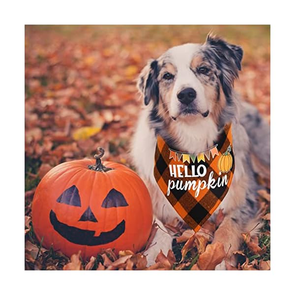 Chngeary dog bandana for dogs(2 pack),classic orange plaid style thanksgiving dog bandana for small medium large dogs accessories triangle dog thanksgiving scarf - image 7