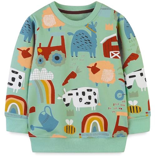 Image of Hongshilian Unisex Kids Cute Cartoon Cotton Sweater Shirt