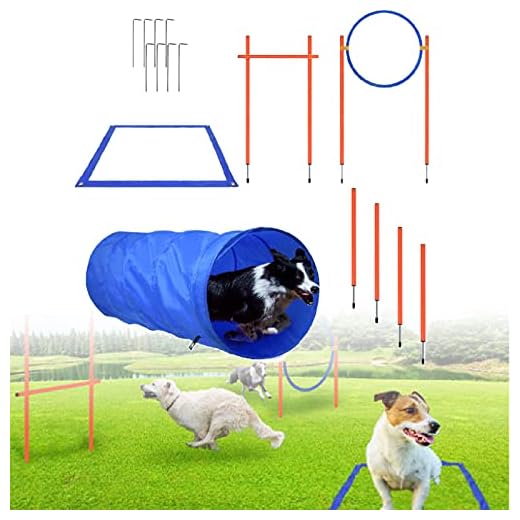 LARS360 Juego de equipo de agilidad para perros, equipo de entrenamiento de agilidad para perros, obstáculos con túnel para perros, anillo de salto, barras de obstáculos