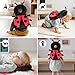 Baby Head Back Protector Backpack Toddler Safety Protector Cushion Pad Soft, Adjustable and Lightweight Design for Safe Walking and Crawling Toddlers Girls and Boys(Ladybug)