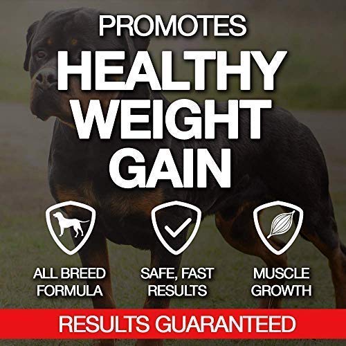 MVP K9 Formula Mass Weight Gainer for Dogs Helps Promote Healthy