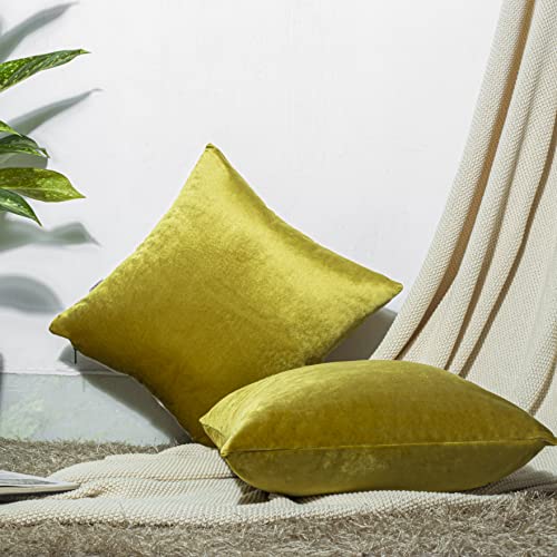 Image of Cazimo Velvet Cushion Covers for Bed, Sofa and Couch - 16 * 16 inches | Ideal for Living Room | Set of 2, Yellow