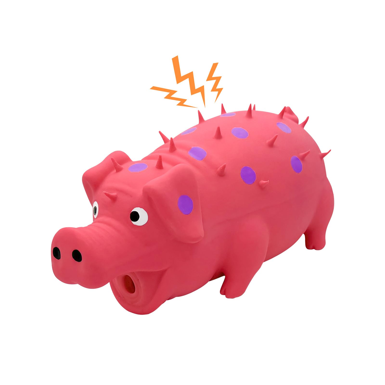 Andiker Dog Squeaky Toy
