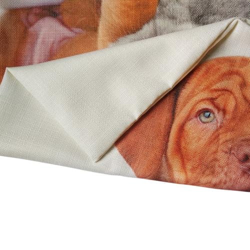 Violetpos Kissenhülle Deko Charming Mops-Hund Sofa Zierkissenbezug Auto Zierkissenbezüge Kissenbezüge Bettwaren & Bettwäsche Kopfkissen Kissen 40 x 40 cm