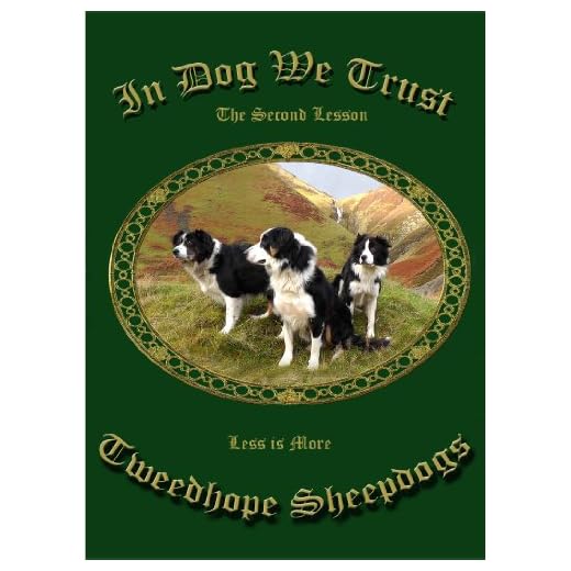 GXGXGG Headphones 1010354