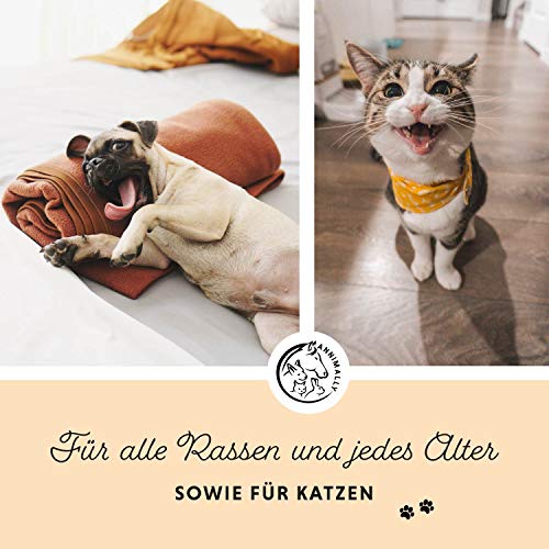 Annimally Lachsöl für Hunde 250 ml reich an Omega 3 & 6 Fettsäuren (mehr als 32%) - Barf Fischöl für Hund und Katze geeignet I Reines Naturprodukt kaltgepresst aus Deutschland