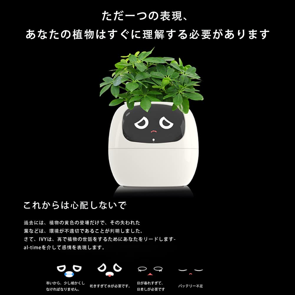Amazon.co.jp: Ivyスマートプランター スマート植木鉢
