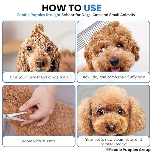 Image of Foodie Puppies Professional Straight (Silver) Dog Grooming Scissors - Stainless Steel Pet Hair Cutting Shears with Finger Rest & Ergonomic Grip for Dogs & Cats, Precision Trimming Home Use Kit