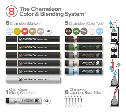 Preescolar, Music eslain colores Marca Chameleon (3)