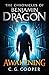 Benjamin Dragon - Awakening (The Chronicles of Benjamin Dragon)