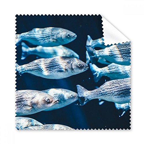 Chiffon microfibre de nettoyage pour écrans style poissons tropicaux et vie marine