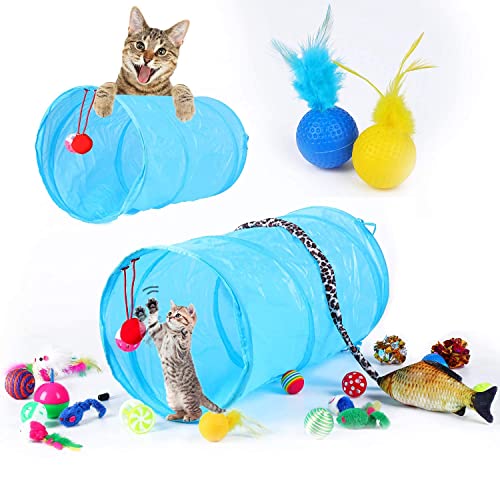 Cat Kitten Toys Set, GANCHUN 25 PCS Interactive Kitten Toys Assortments, Cat Feather Teaser, Catnip Fish Cat Springs Funny Wand Toy Fluffy Mouse, Crinkle Balls for Cat, Puppy, Kitty, Kitten