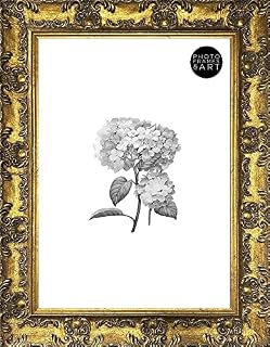 pf+a REAL GLASS Ornate Antique Style Picture Frame For A4 - A4 Gold Antique Picture Frame / A4 (21x29.7cm) Gold Certificate Frame