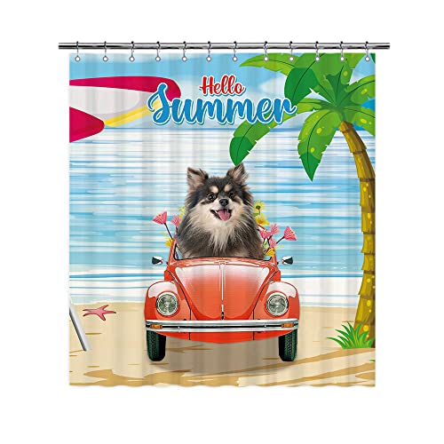 Pomeranian Dog Drive a - Cortinas de ducha vintage para coche, color azul y océano, playa, animales, cortinas decorativas para baño, hogar, 72 x 80 pulgadas, con ojales y ganchos Cover