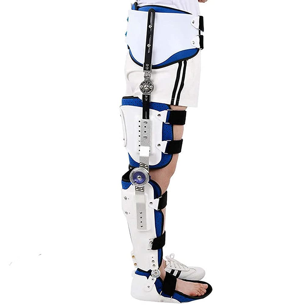 NGDFGR Hinged Post-Op Hip Ankle Foot Knee Brace Post-Op Hip Abduction Brace Hinged Knee Hip Support Brace Adjustable Thigh Knee Ankle Foot Orthosis,Large