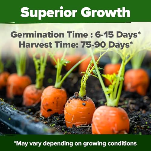 Image of HOME GROWN Tendersweet Carrots Seeds 3000+ Heirloom Non-GMO Seeds for Planting,High Germination,Sweetest Coreless Root Vegetable, Crunchy Summer Garden,Great for Canning (Daucus carota subsp. sativus)