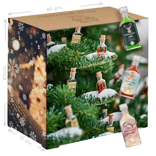 Corasol Omas Feine Liköre & Schnaps Adventskalender mit 24 Likörspezialitäten in edlen 2cl-Flaschen (480 ml)