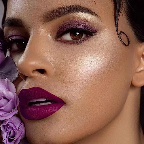 Image of MAKI YIKA 3Pcs Matte Liquid Lipstick Set Dark Red Purple Nude Lipstick