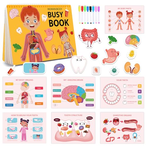 Educational Learning Toys Play Set Gift for Boys Girls, Reusable Reward Sheet Activity Stickers Enlightenment Book Quiet Book,Waterproof Static Preschool Education Exercise Book[My Body Theme]